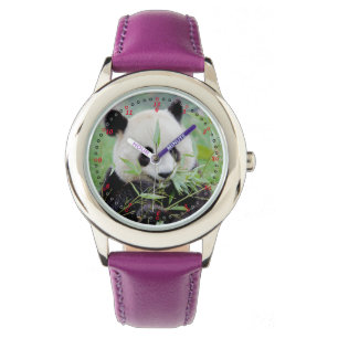 Watch Photo giant panda , animals 0383.