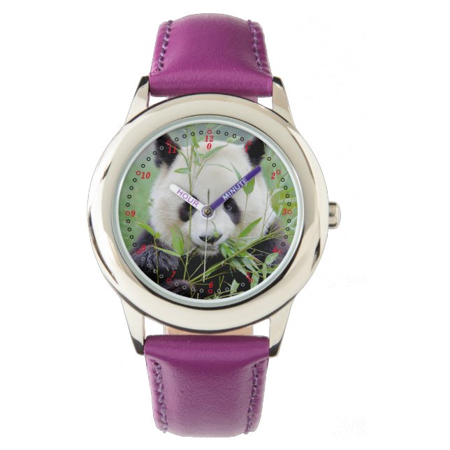 Watch Photo giant panda , animals 0384. (Front)