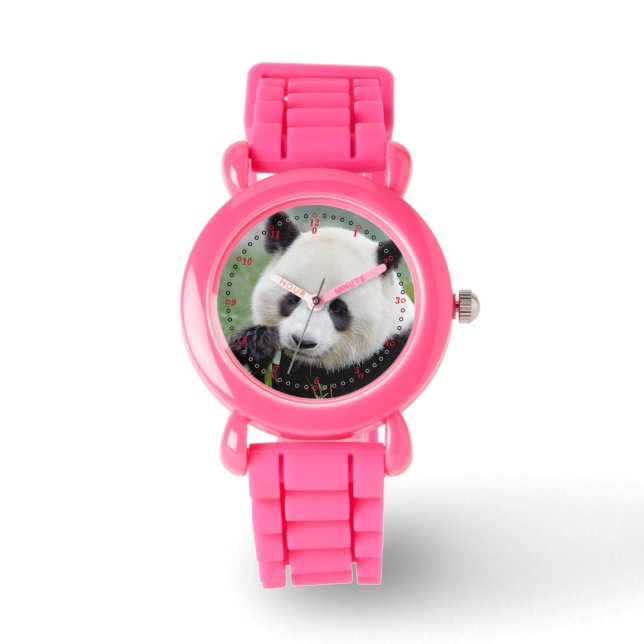 Watch photo giant panda. Panda geant. (Front)