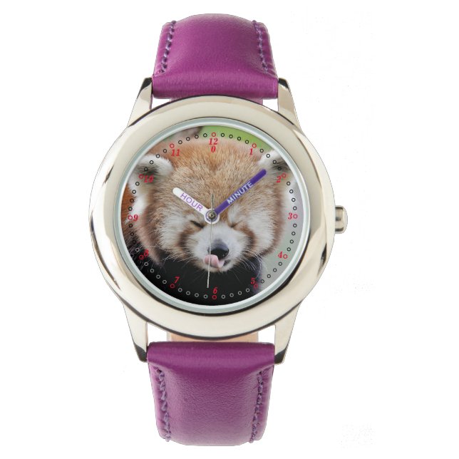 Watch Photo red panda , animals 0600. (Front)