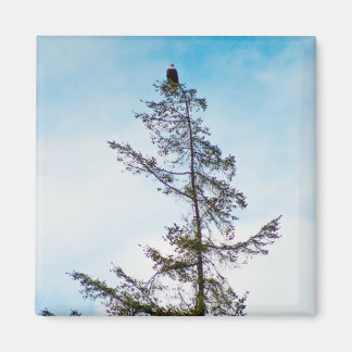 Watch Tower Magnet