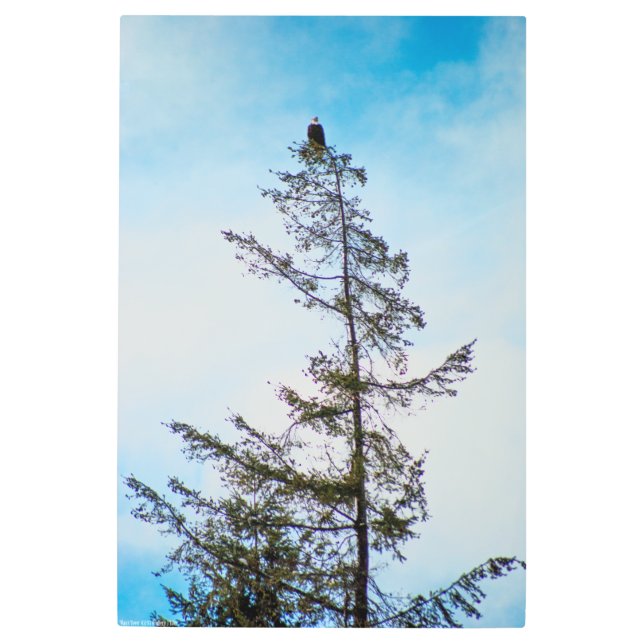 Watch Tower Metal Print (Front)