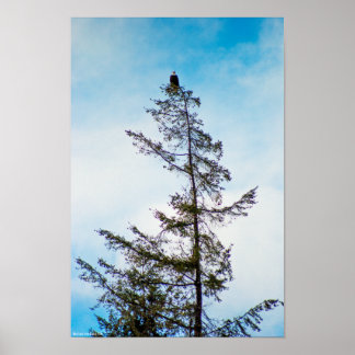 Watch Tower Poster