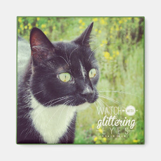 Watch With Glittering Eyes Cat Magnet