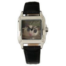 Watch with sugar glider
