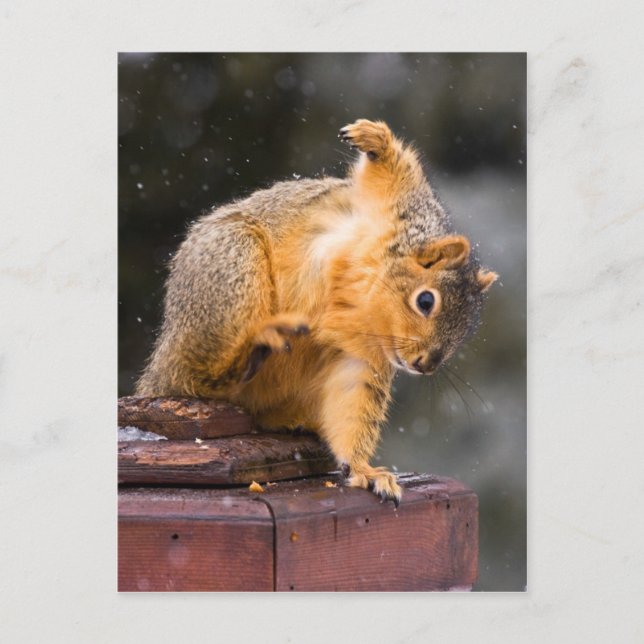 Watch Your Step Postcard (Front)