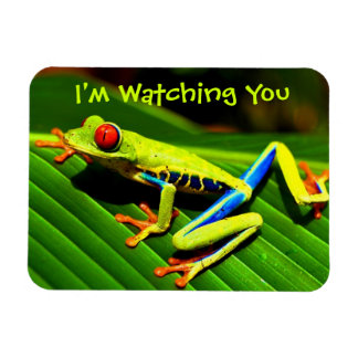 Watched by Tree Frog Fridge Magnet