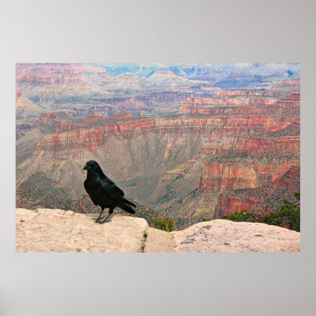 Watcher of the Canyon Poster (Front)