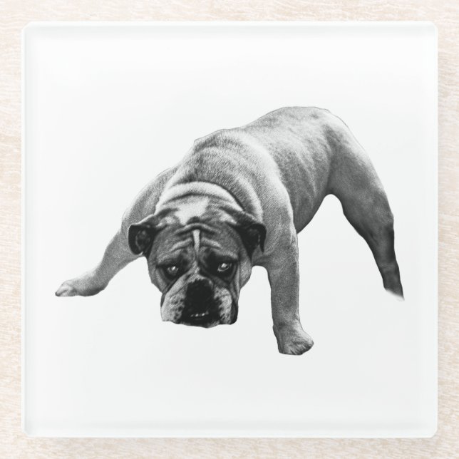 Watchful Bulldog Coaster (Front)