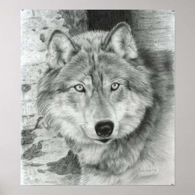 Watchful Eyes wolf poster (Front)