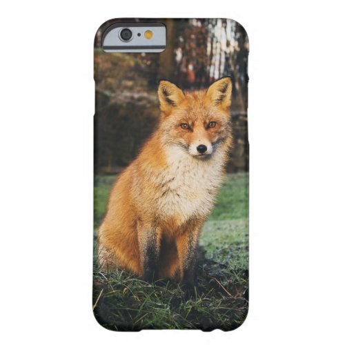 Watchful Fox Barely There Phone Case