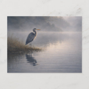 Watchful Heron Great Blue Heron Postcard