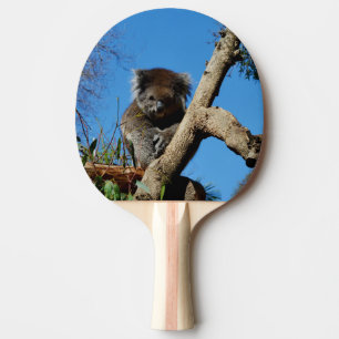 Watchful Koala Bear, Ping Pong Paddle