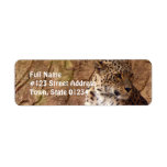 Watchful Leopard Return Address Label