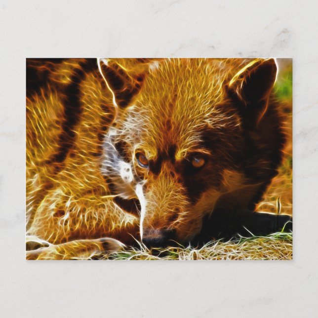 Watchful Postcard (Front)