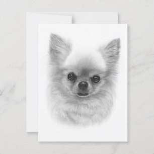 Watchful Queen - Hand Painted Chihuahua Art Postcard