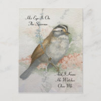 Watchful Song Sparrow Bible Quote Watercolor