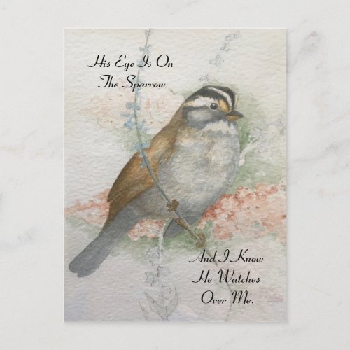 Watchful Song Sparrow Bible Quote Watercolor Postcard