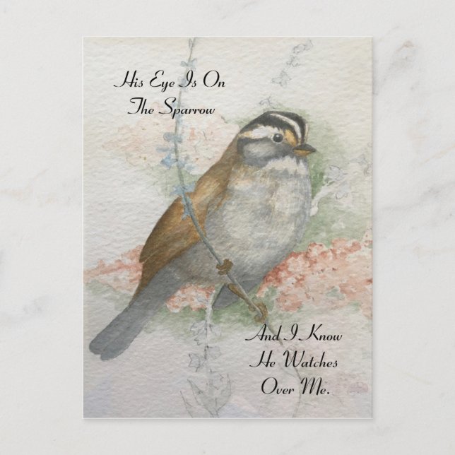 Watchful Song Sparrow Bible Quote Watercolor Postcard (Front)