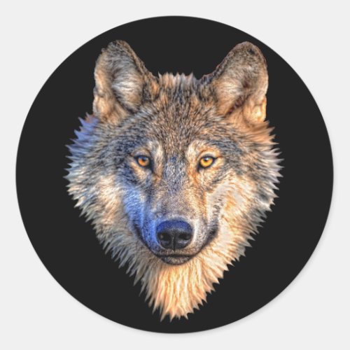 Watchful Wolf Classic Round Sticker
