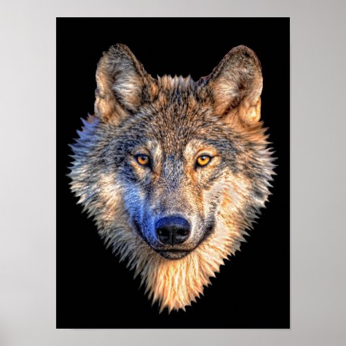 Watchful Wolf Poster