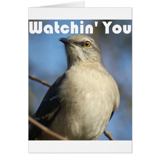 Watchin' You Card