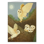 Watching and Waiting 2013 (Front)