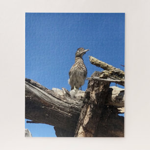 Watching for Mr. Coyote  Jigsaw Puzzle