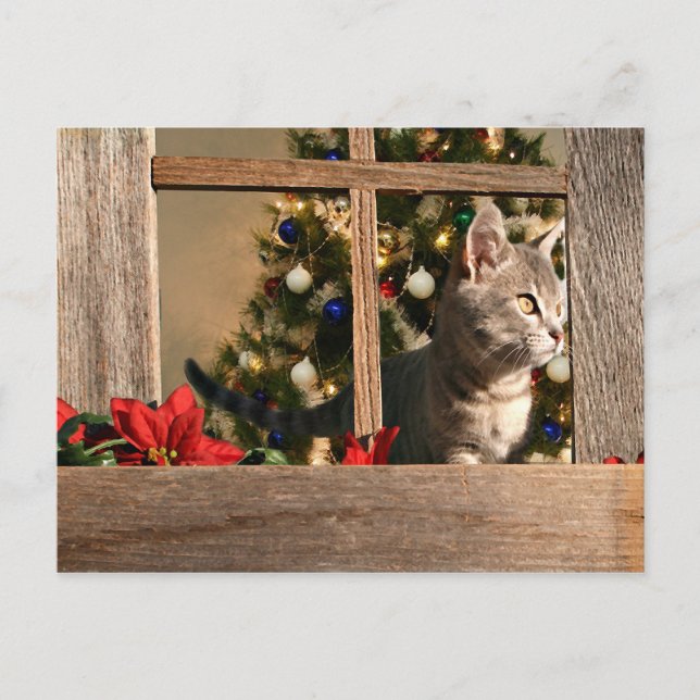 Watching for Santa Holiday Postcard (Front)