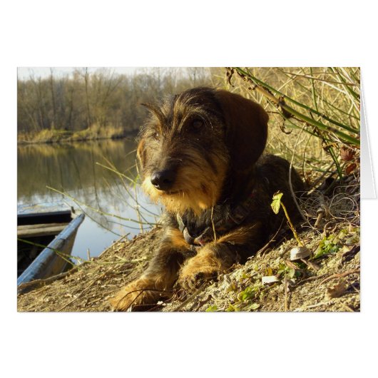 Watching it (Front Horizontal)