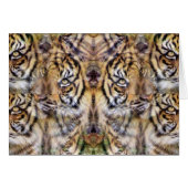 Watching Out_ (Front Horizontal)