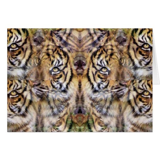 Watching Out_ (Front Horizontal)