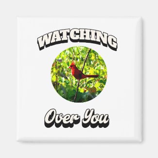 Watching Over You