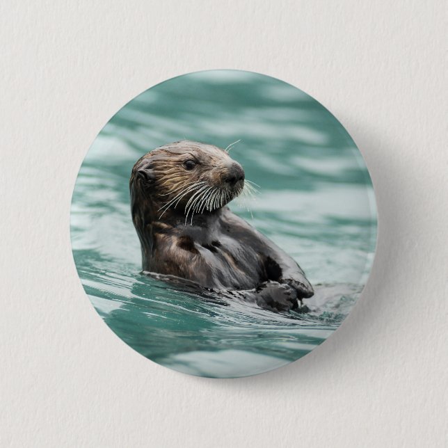 Watching Sea Otter Button (Front)
