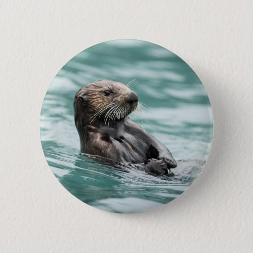 Watching Sea Otter Button