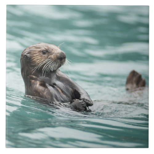 Watching Sea Otter Ceramic Tile