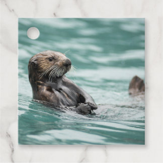 Watching Sea Otter Favor Tags