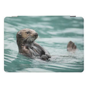 Watching Sea Otter iPad Pro Cover