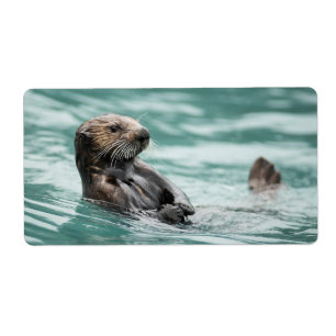 Watching Sea Otter Label