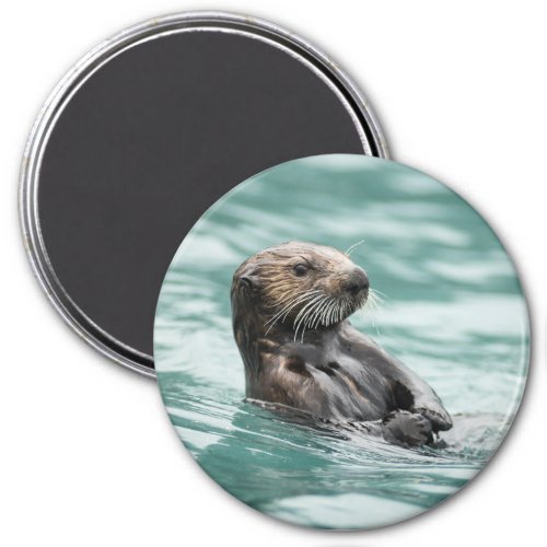 Watching Sea Otter Magnet