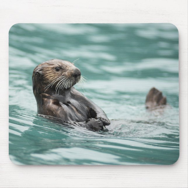 Watching Sea Otter Mouse Pad (Front)