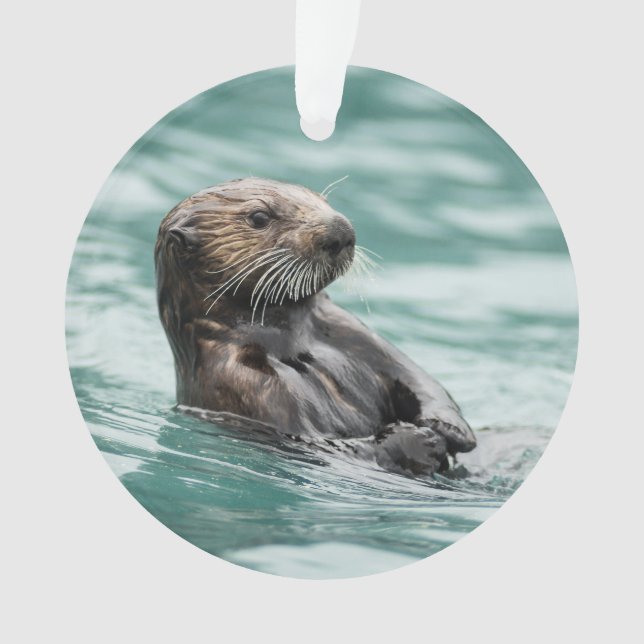Watching Sea Otter Ornament (Front)