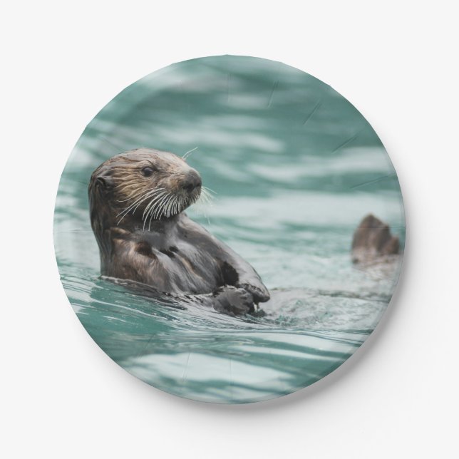 Watching Sea Otter Paper Plates (Front)