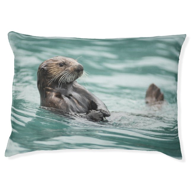 Watching Sea Otter Pet Bed (Front)