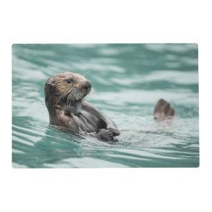 Watching Sea Otter Placemat