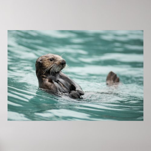 Watching Sea Otter Poster