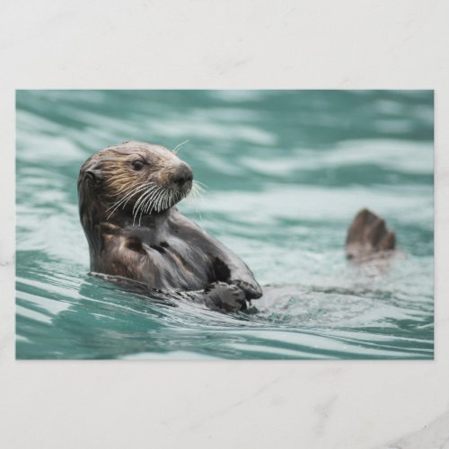 Watching Sea Otter Stationery