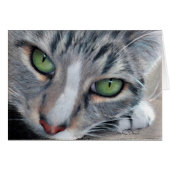 Watching Tabby Drawing Card (Front Horizontal)