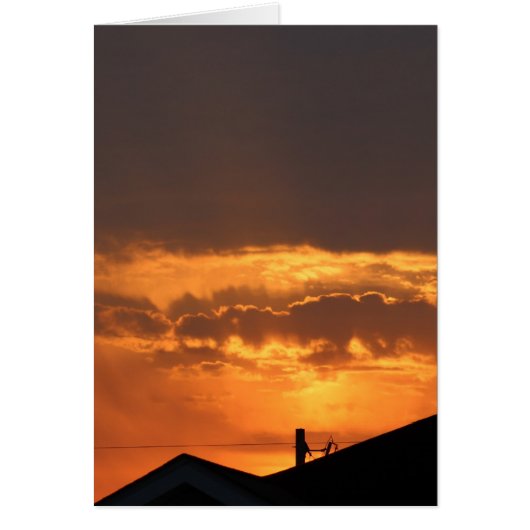 Watching the Sunrise Cards (Front)