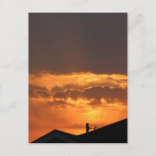 Watching the Sunrise Postcard